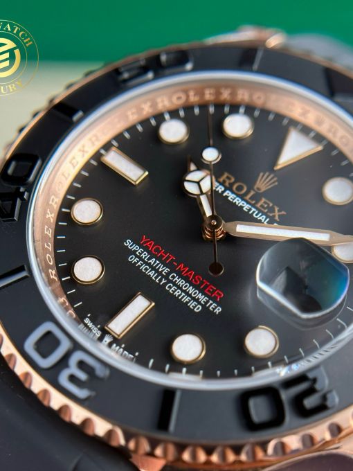 Đồng Hồ: Rolex Yacht Master 42mm vàng hồng Rep 1:1